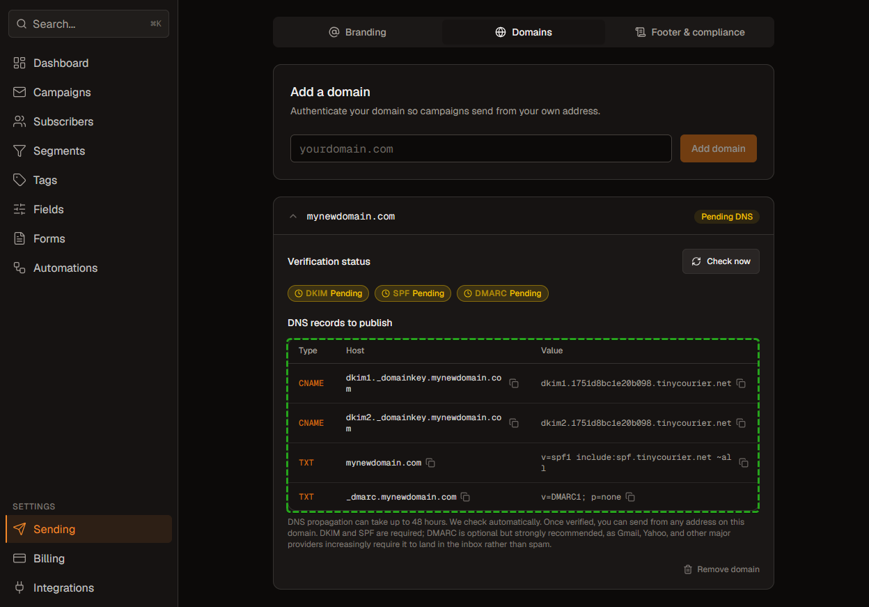 The DNS records table with Type, Host, and Value columns